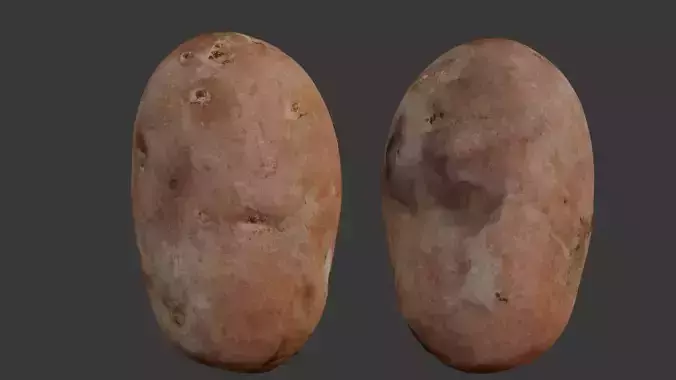 Potato 3D Scan