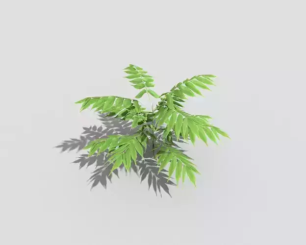 Low poly Plant