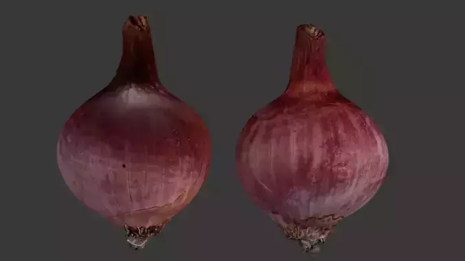  Red Onion 3D Scan