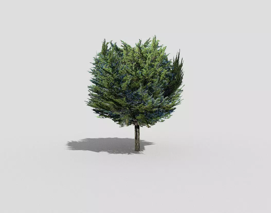 low poly tree cypress Low-poly 3D model