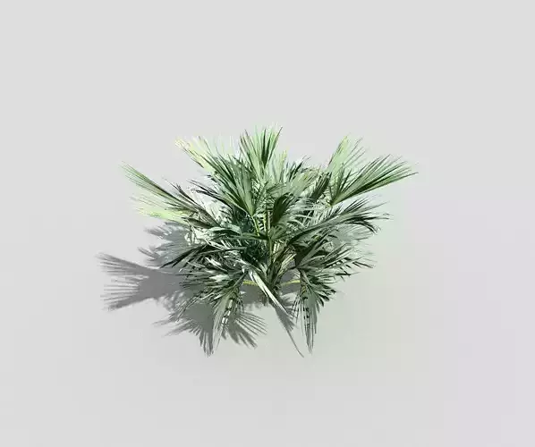 low poly tropical shrub 8