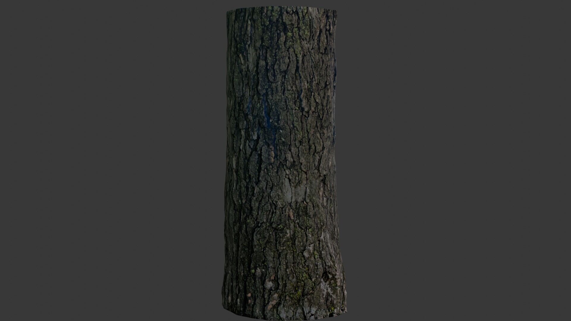 Realistic Tree Trunk 3D Scan Low-poly 3D model_5