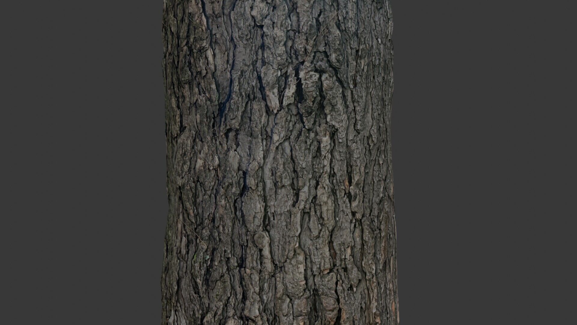 Realistic Tree Trunk 3D Scan Low-poly 3D model_3