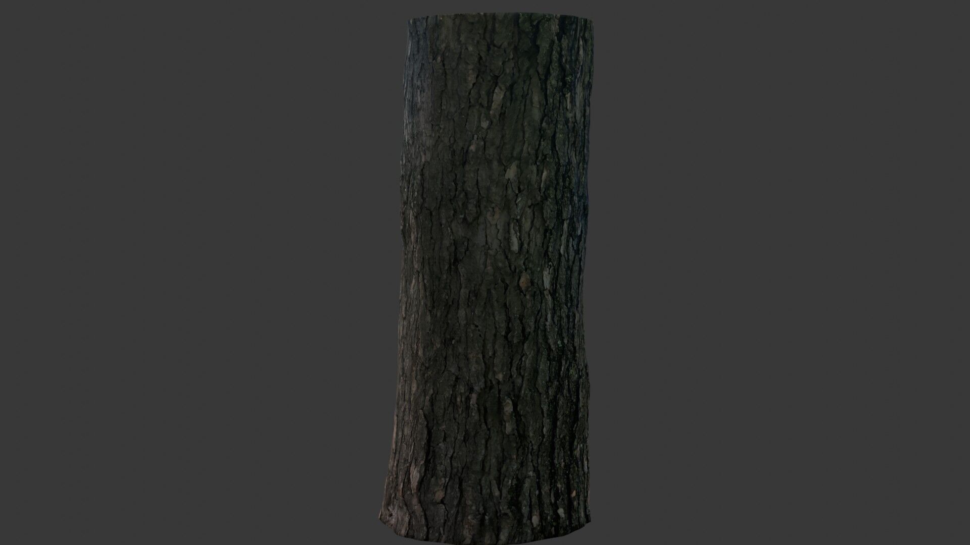 Realistic Tree Trunk 3D Scan Low-poly 3D model_7