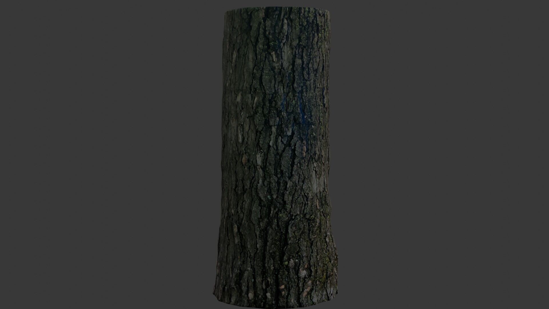 Realistic Tree Trunk 3D Scan Low-poly 3D model_6