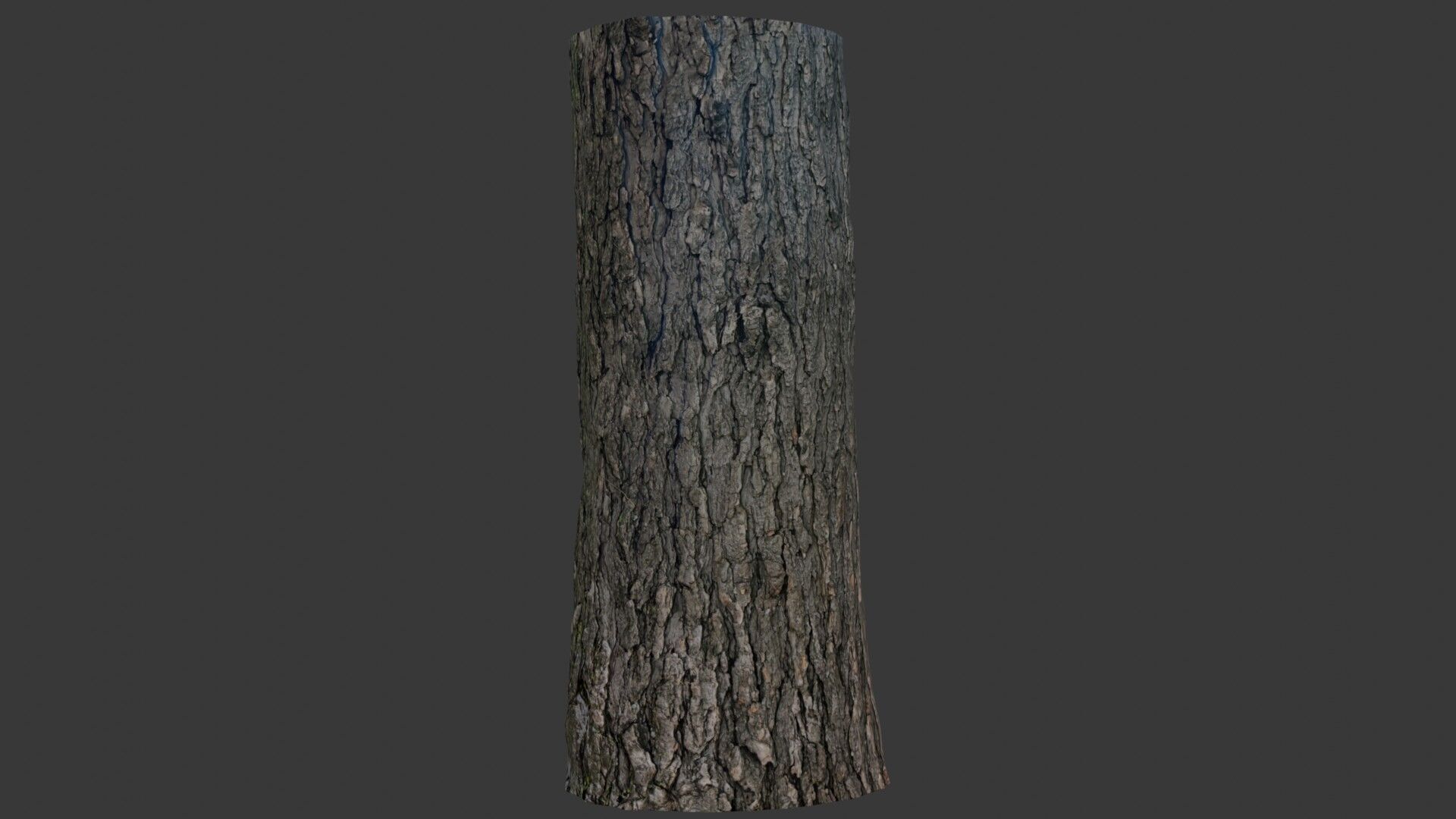 Realistic Tree Trunk 3D Scan Low-poly 3D model_1