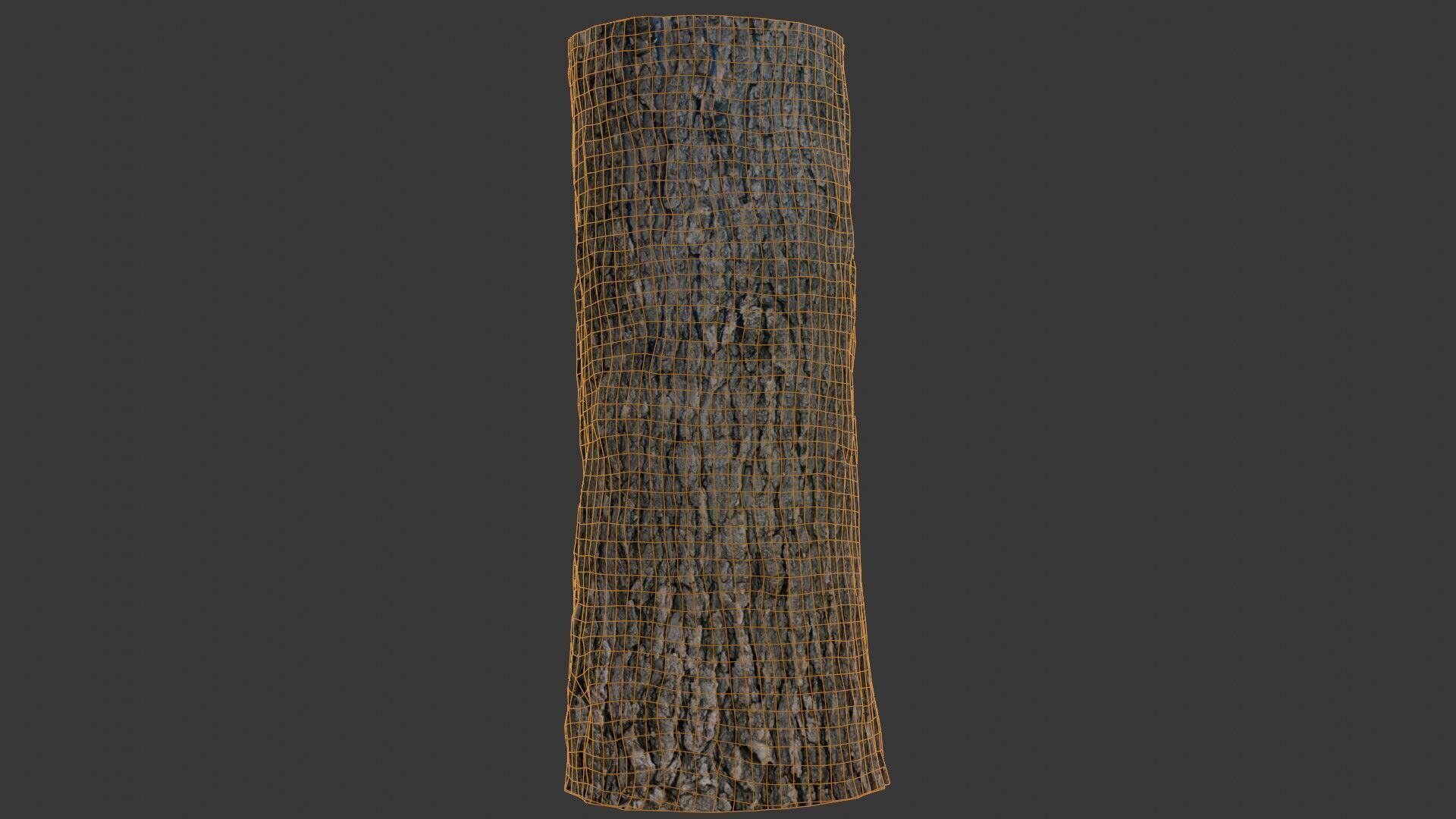 Realistic Tree Trunk 3D Scan Low-poly 3D model_2