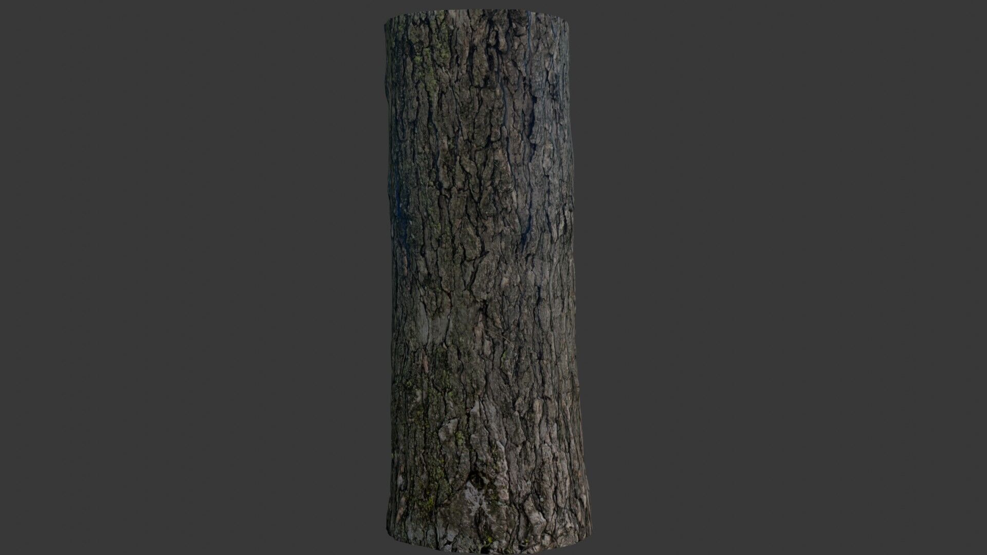 Realistic Tree Trunk 3D Scan Low-poly 3D model_4