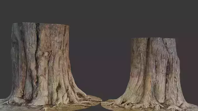 Tree Stump with Exposed Roots Low-poly 3D model