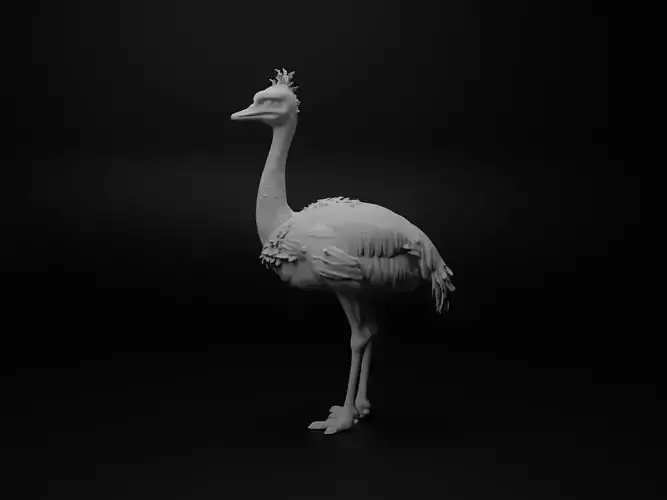 ostrich hybrid figure