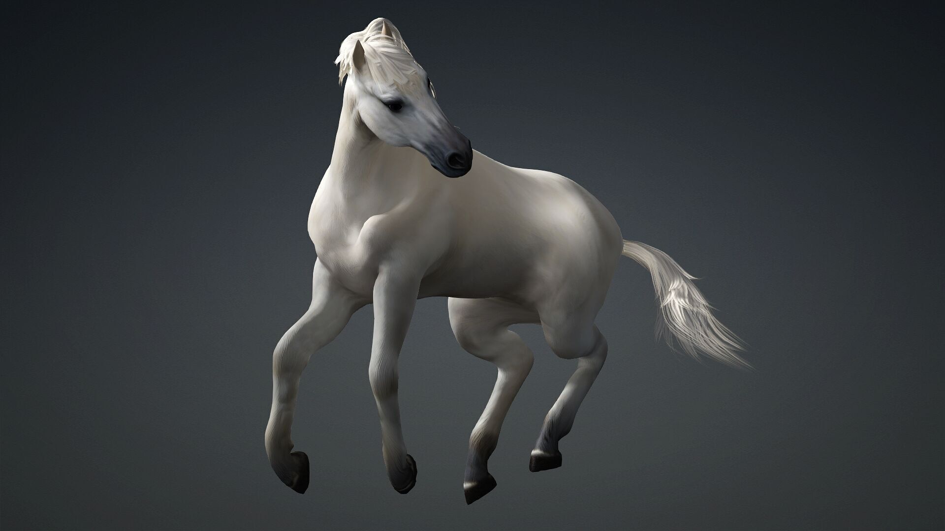 Horse-C3 3D model_4