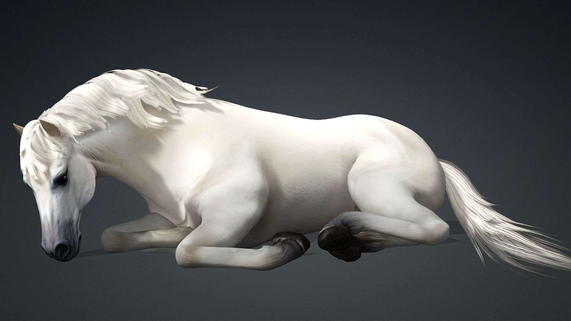 Horse-C3 3D model_8