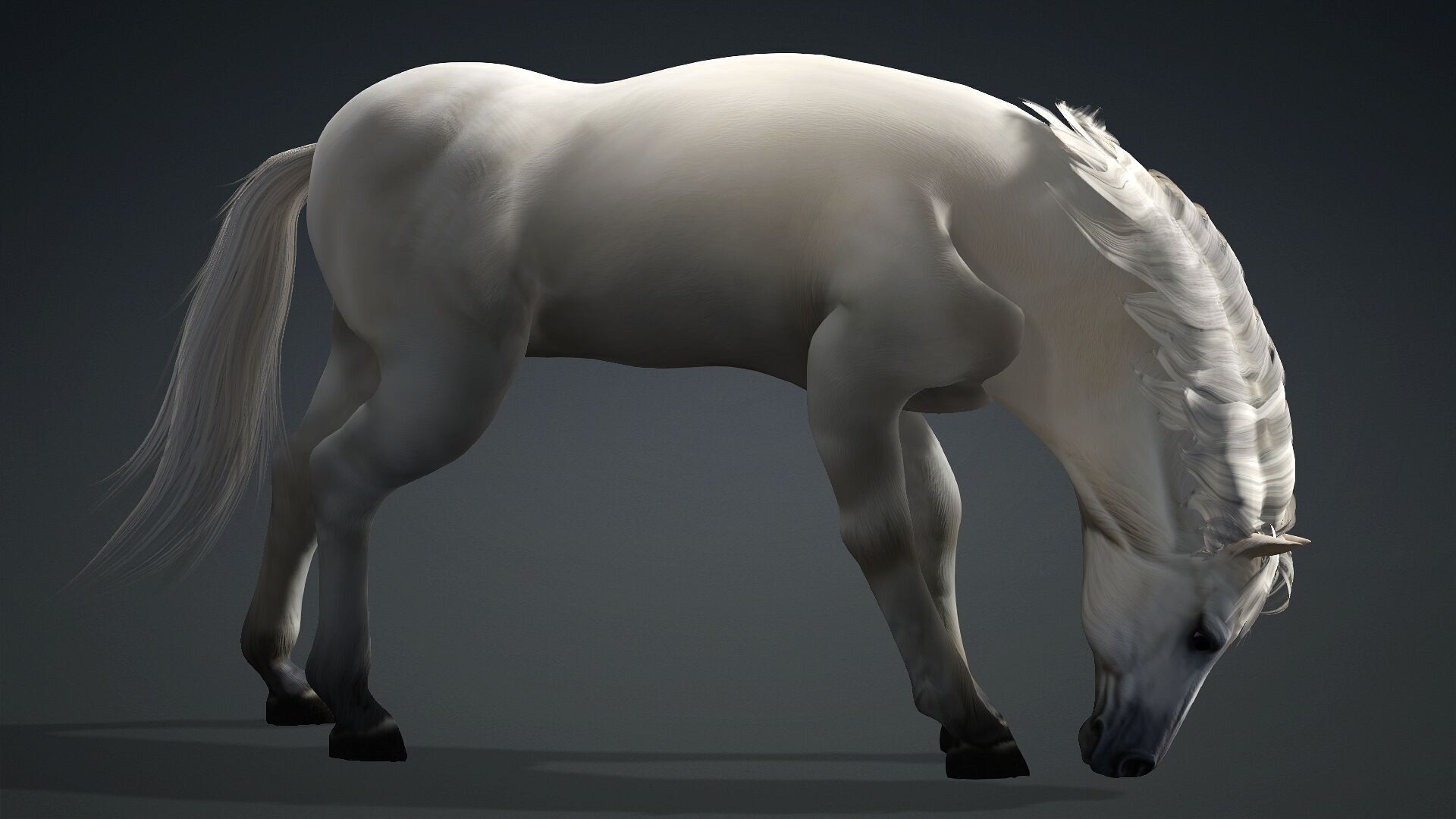 Horse-C3 3D model_15