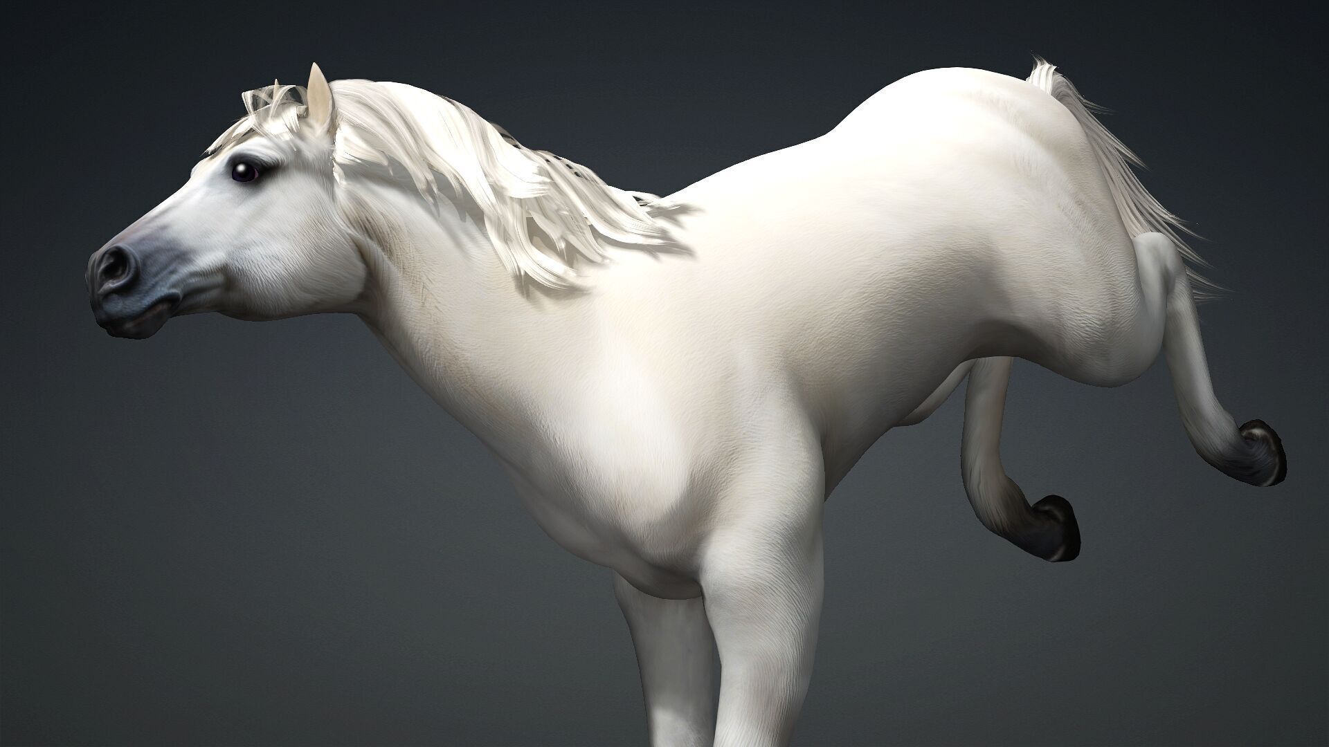 Horse-C3 3D model_7