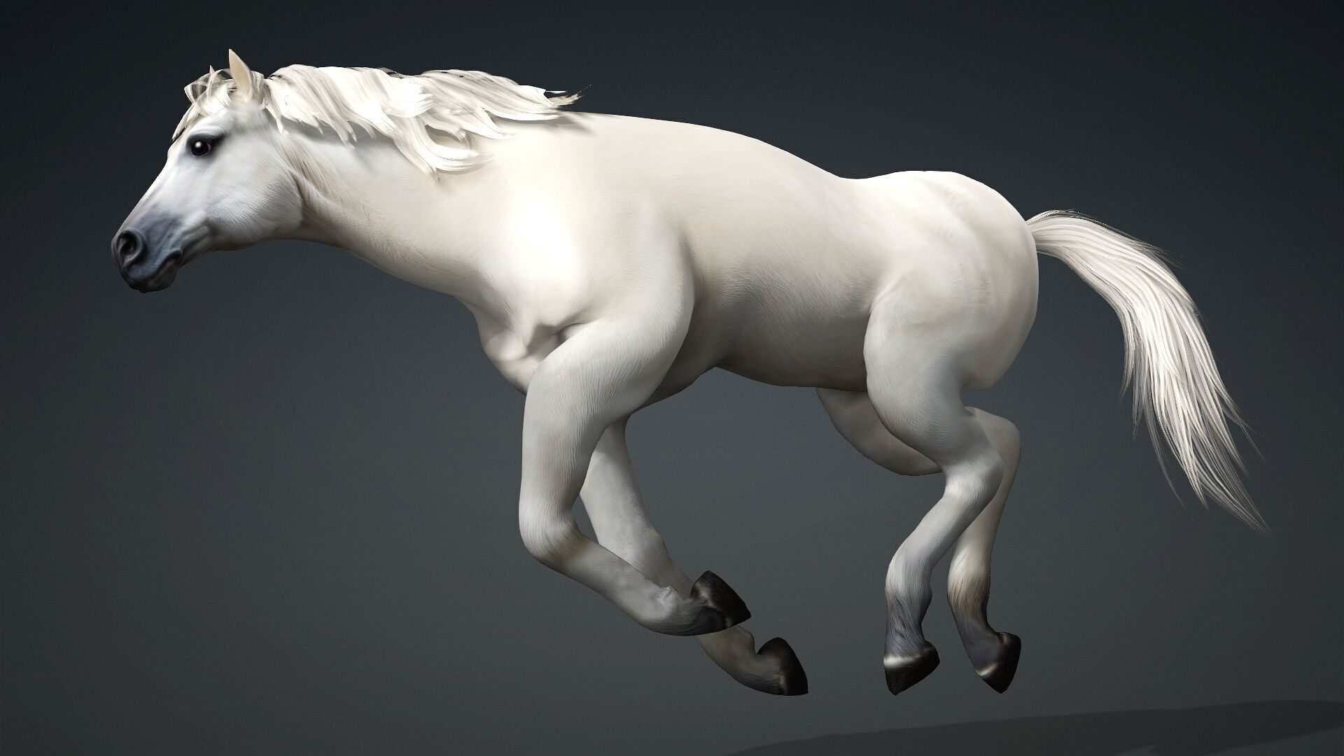 Horse-C3 3D model_9