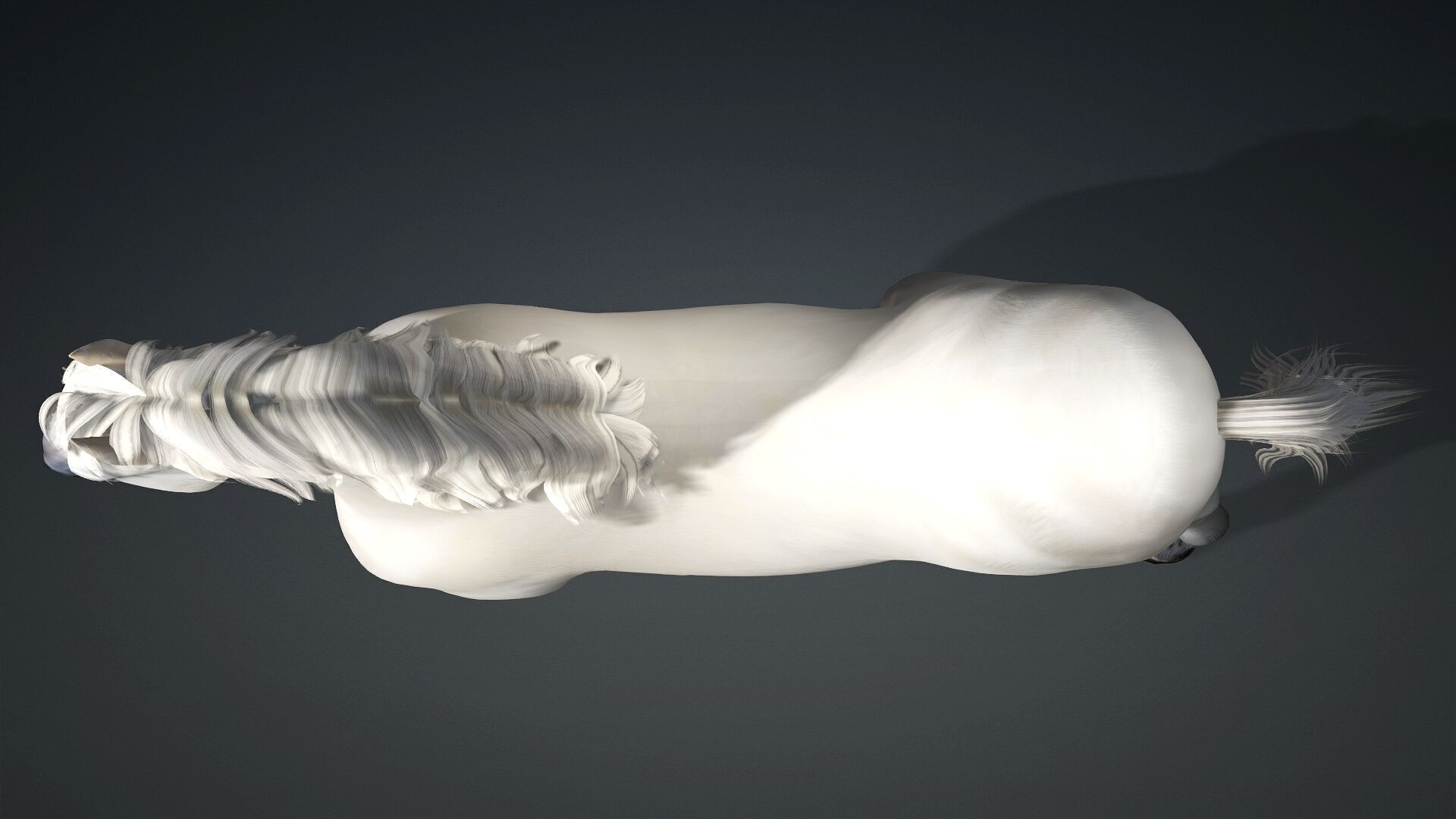 Horse-C3 3D model_12