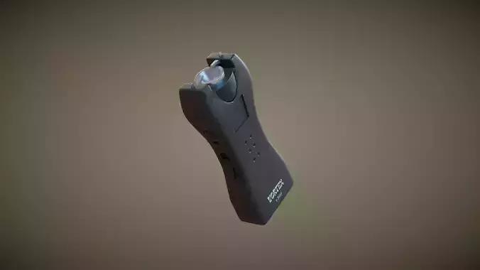 Stun Gun with Flashlight