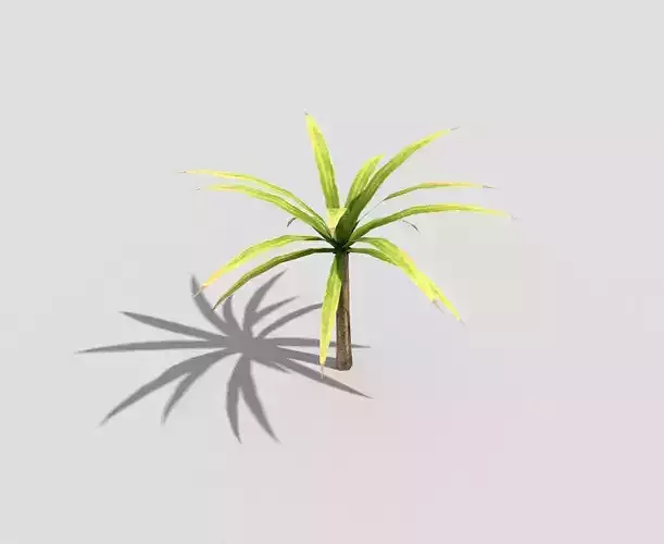 Low poly Plant palm tree