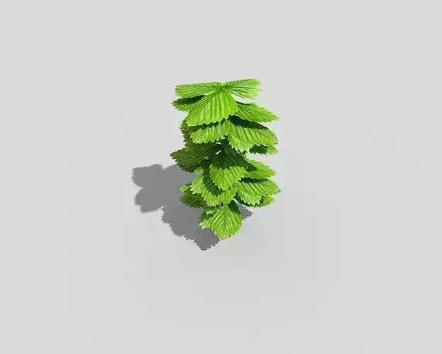 Low poly Plant mint leaf