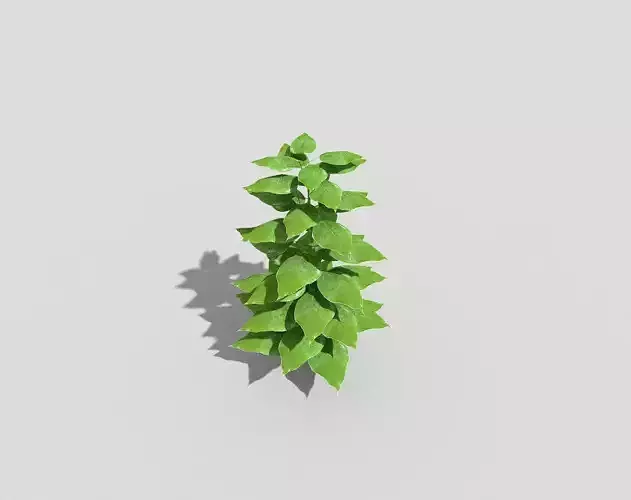 Low poly Plant ivy