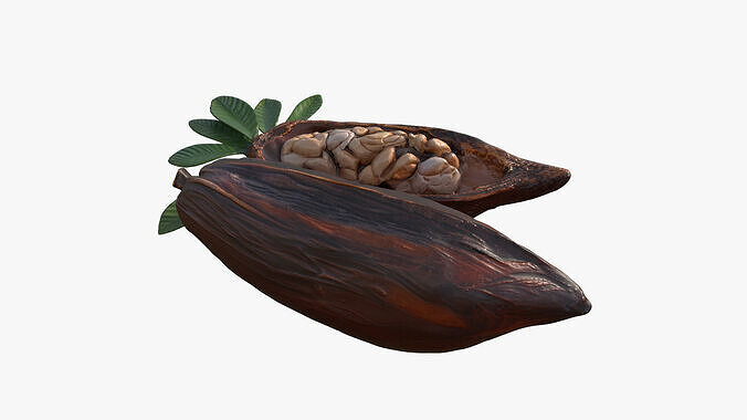 Cocoa Fruits Beans Set Low-poly 3D model 3