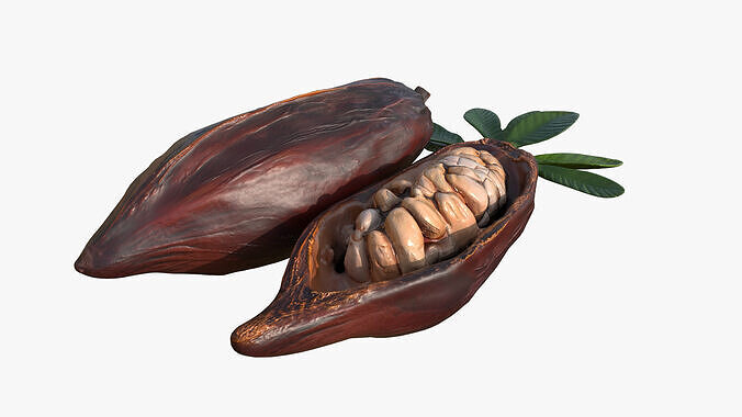 Cocoa Fruits Beans Set Low-poly 3D model 5