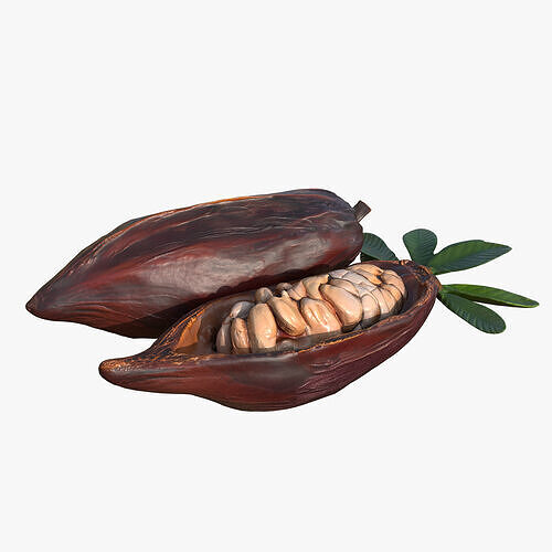 Cocoa Fruits Beans Set Low-poly 3D model 7