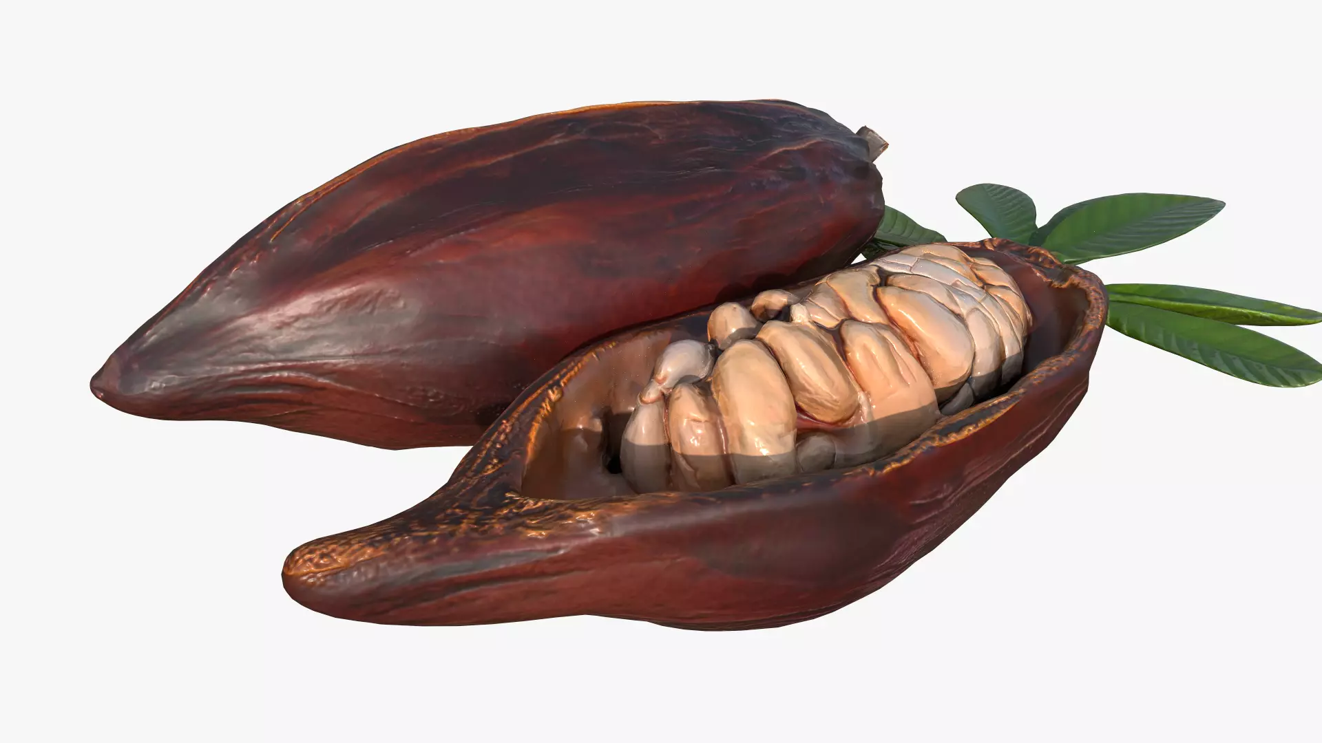 Cocoa Fruits Beans Set Low-poly 3D model