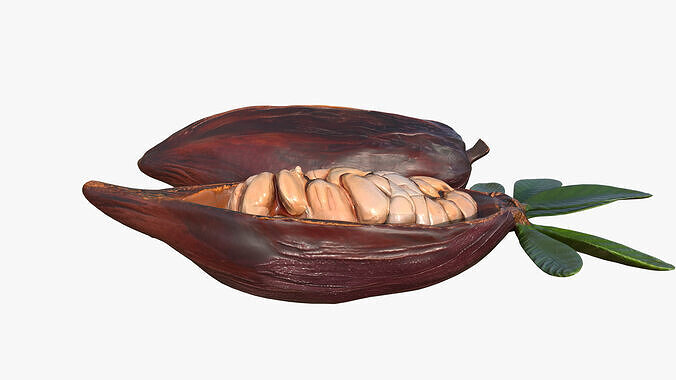 Cocoa Fruits Beans Set Low-poly 3D model 4
