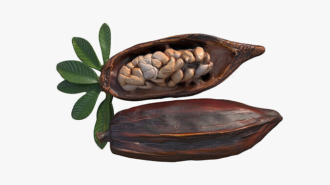 Cocoa Fruits Beans Set Low-poly 3D model 2