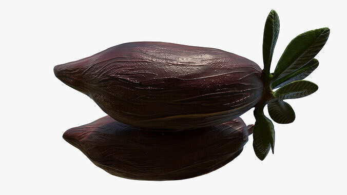 Cocoa Fruits Beans Set Low-poly 3D model 6