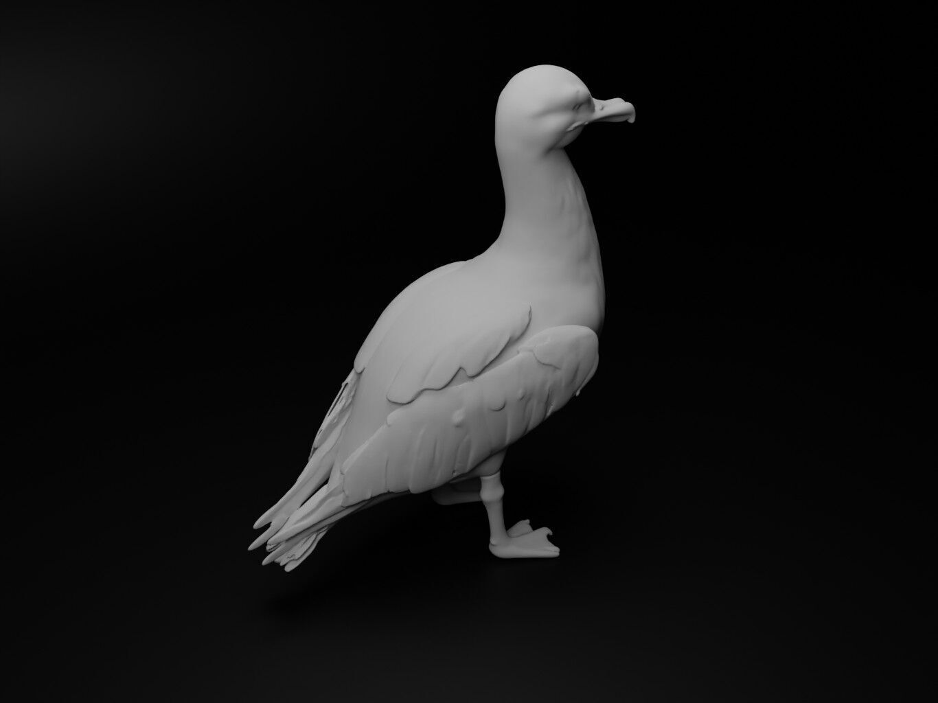 Albatross Animal Figure 3D print model_2