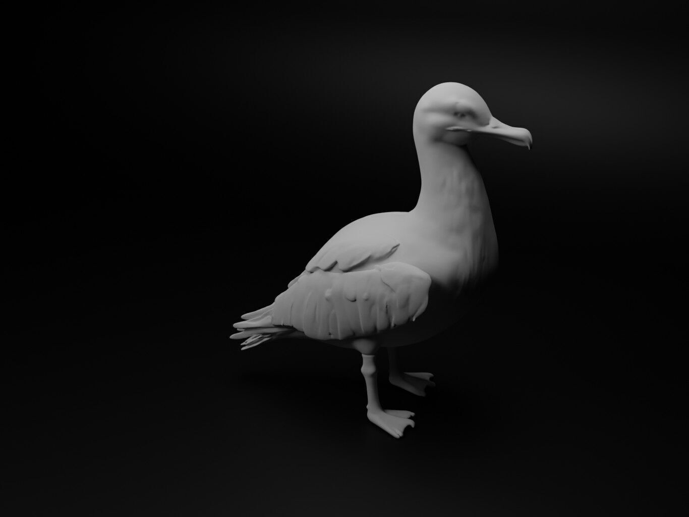 Albatross Animal Figure 3D print model_1