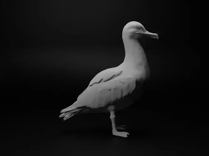 Albatross Animal Figure