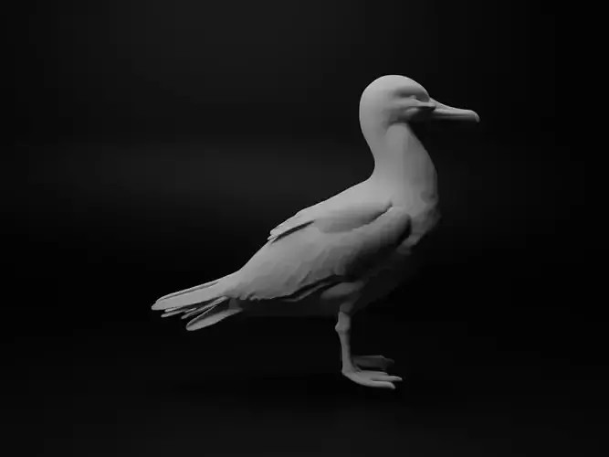 Albatross Animal Figure