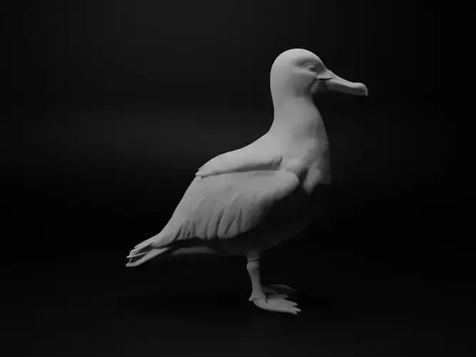 Albatross Animal Figure