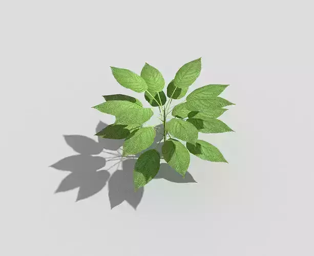 Low poly Plant