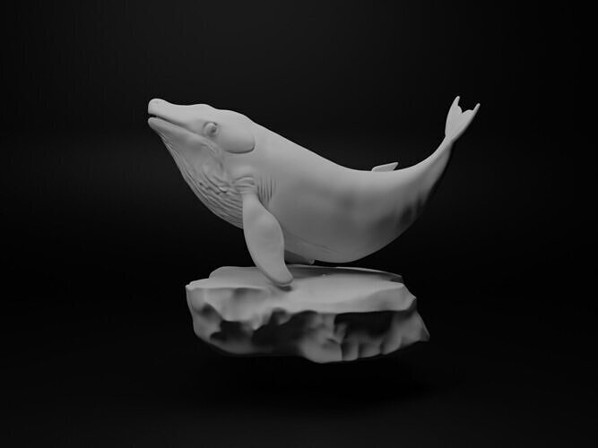Blue whale Animal Figure 3D print model