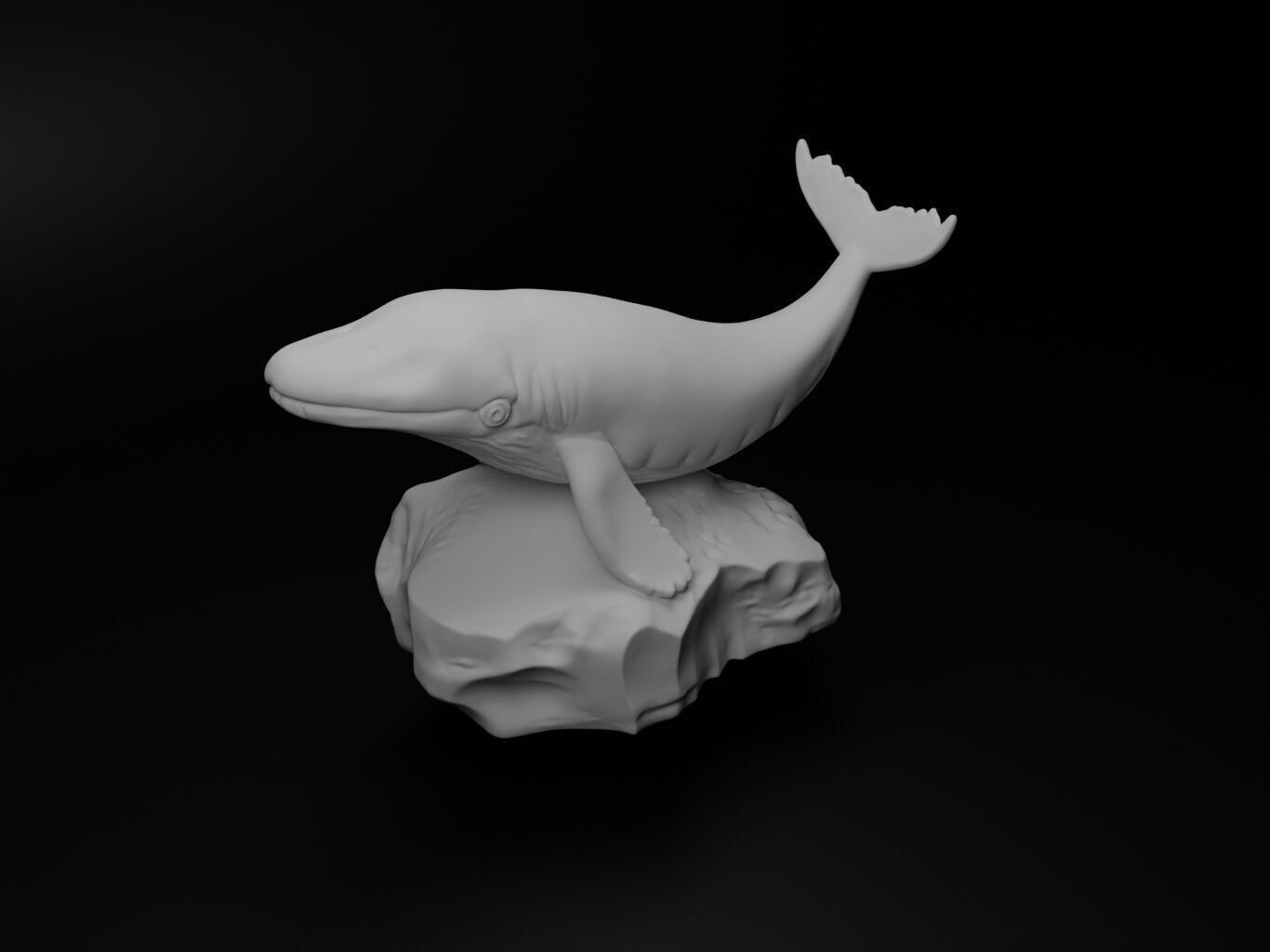 Blue whale Animal Figure 3D print model_2