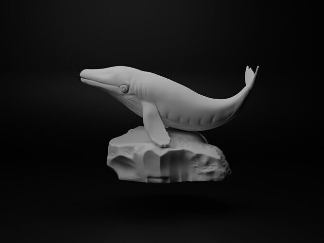 Blue whale Animal Figure 3D print model