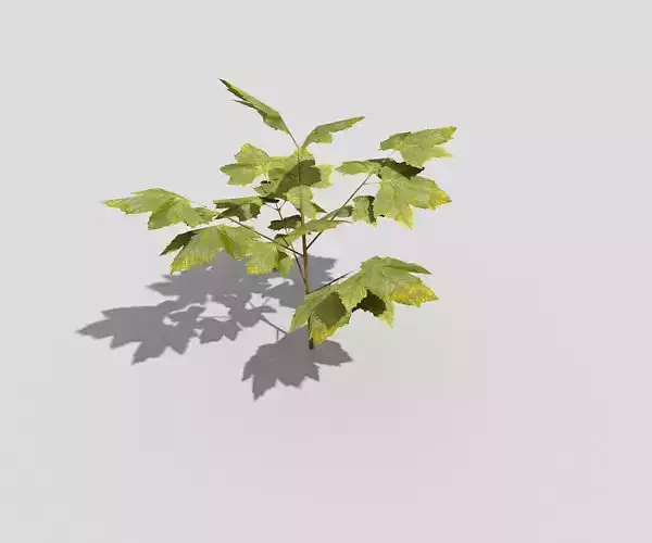 small low poly tree 6 Low-poly 3D model