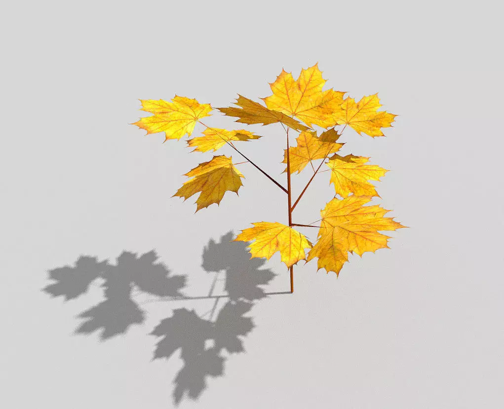 low poly small tree 3 Low-poly 3D model