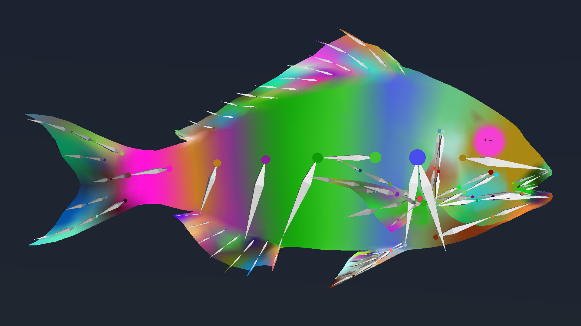  Red Seabream 3D model_6