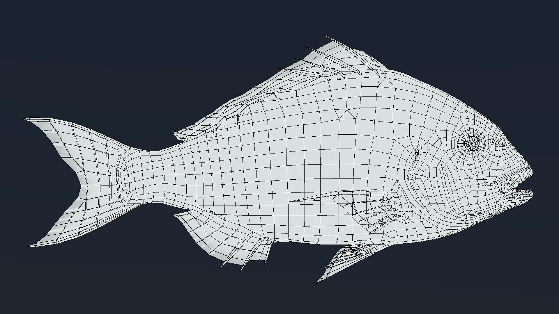  Red Seabream 3D model_5