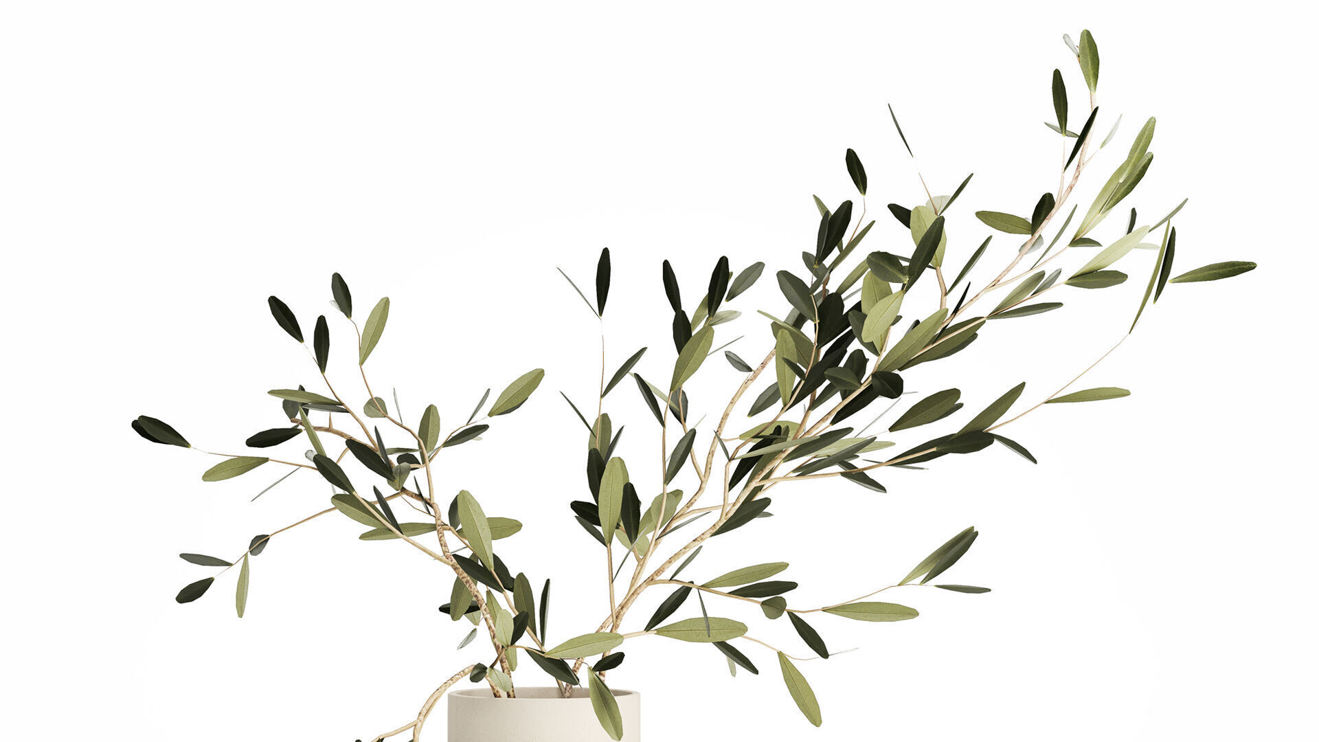 Small Minimalistic Bouquet Vase Olive Branches 518 3D model_1