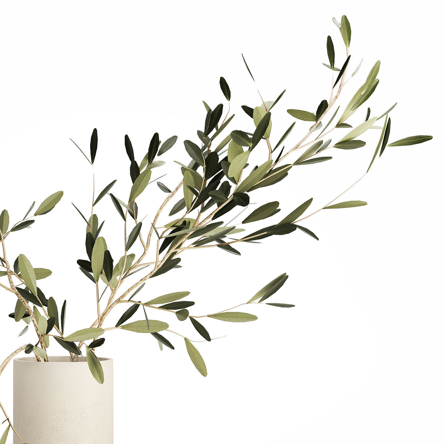 Small Minimalistic Bouquet Vase Olive Branches 518 3D model_8