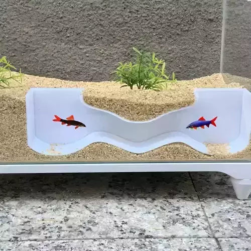 Tunel para peces 11  acuario pecera