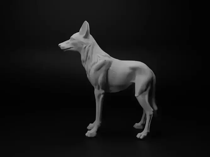 Jackal Animal Figure