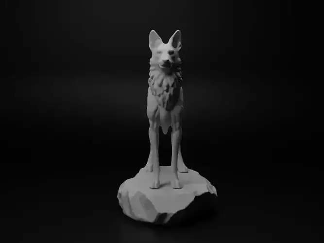 Jackal Animal Figure