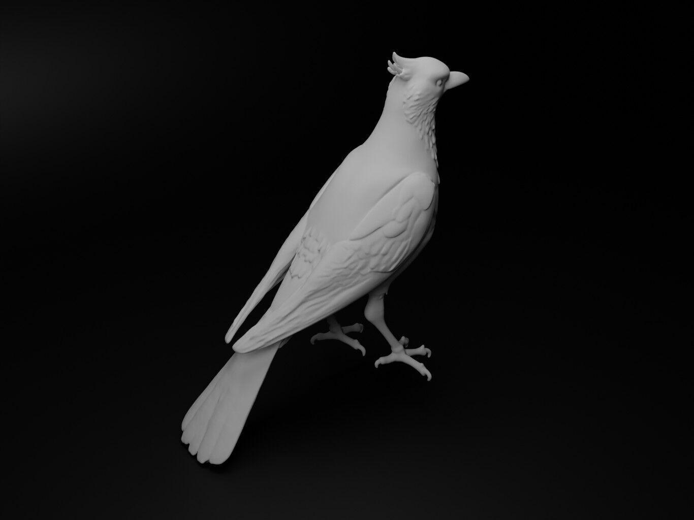 Magpie Animal Figure 3D print model_2